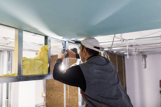 Best Insulation Installation Services in Woodworth, OH