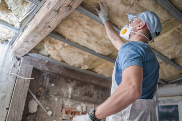 Best Insulation Installation Services in Woodworth, OH